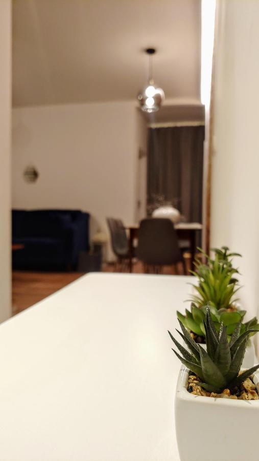 Apartament Chopin Gliwice Διαμέρισμα Εξωτερικό φωτογραφία